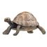 Figurine Tortue PA50013-2906 Papo 1