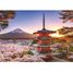 Puzzle Cerisiers en fleurs du Mont Fuji 1000 pcs RAV12000582 Ravensburger 2
