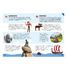 Voyage, découvre, explore - L'Europe SJ-9757 Sassi Junior 4