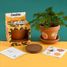 Je fais pousser mon Mimosa pudica RC-025965 Radis et Capucine 3