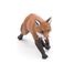 Figurine Renard 53020-3625 Papo 4