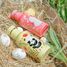 Bouteille en inox Gnummy le panda 500 ml SJ-SB2287 Sassi Junior 5