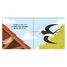 Douces histoires sonores Le jardin SJ-314702 Sassi Junior 3