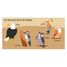 Livre et puzzle Les oiseaux SJ-329331 Sassi Junior 5