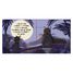 Douces histoires sonores La jungle SJ-330047 Sassi Junior 2