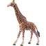 Figurine Girafe mâle SC-14749 Schleich 4