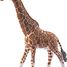 Figurine Girafe mâle SC-14749 Schleich 4