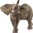 Figurine Éléphant d'Afrique barrissant SC-14762 Schleich 1