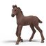 Calendrier de l'Avent Horse Club 3 SC-99178 Schleich 7