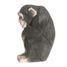 Figurine Chimpanzé WU-40722 Wudimals 1