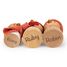 Le nichoir du rouge-gorge TL8378 Tender Leaf Toys 5