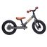 Trybike Draisienne évolutive 2 en 1 gris mat TBS-3-ANTM Trybike 5