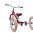 Trybike Draisienne évolutive 2 en 1 rouge mat TBS-3-REDM-VIN Trybike 4