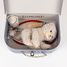 Valise de vétérinaire Romy le chat EG570118 Egmont Toys 3