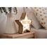 Etoile lumineuse à personnaliser VI-ES14USBC Vintiun 4