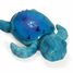 Veilleuse Tranquil Turtle - Bleu Aqua CloudB-7423-AQ Cloud b 2