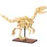 Squelette de Vélociraptor 256 pièces C59014W CaDA 1