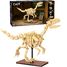 Squelette de Vélociraptor 256 pièces C59014W CaDA 4