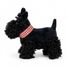 Walter le chien en peluche 17 cm EG130618 Egmont Toys 2