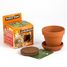 Je fais pousser mes Cacahuètes RC-014264 Radis et Capucine 1