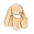 Veilleuse peluche lapin Sleepy NA876551 Nattou 1