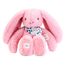 Peluche Lapin Fleurette rose 25 cm DC4297 Doudou et Compagnie 1