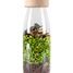 Bouteille sensorielle Spy Jungle PB47646 Petit Boum 1