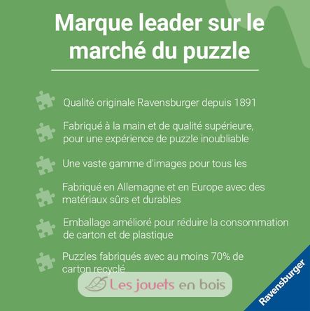 Puzzle Scar 1000 pièces RAV12000101 Ravensburger 7