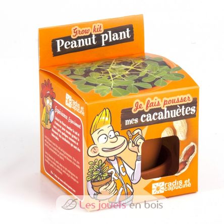 Je fais pousser mes Cacahuètes RC-014264 Radis et Capucine 3