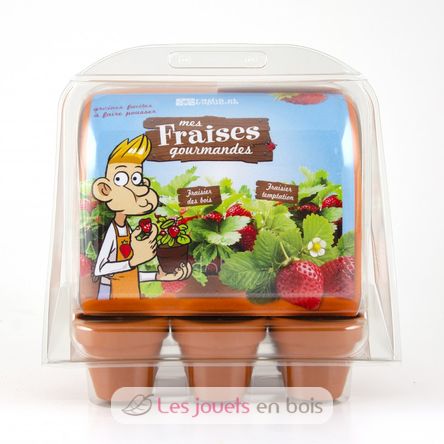 Mini-Serre Fraisiers RC-033237 Radis et Capucine 1