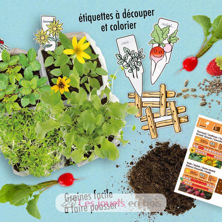 Coffret Mini Potager RC-034139 Radis et Capucine 4