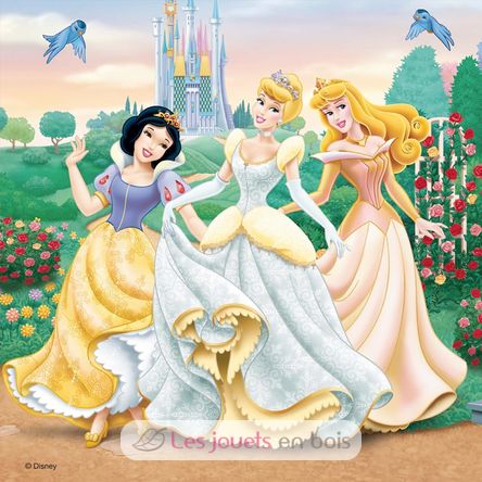 Puzzle Rêves de princesses Disney 3x49 pcs RAV-09411 Ravensburger 5