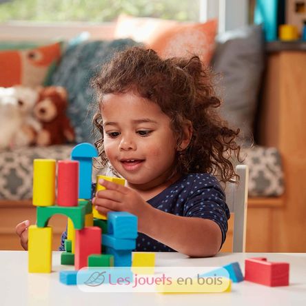 100 blocs en bois MD10481 Melissa & Doug 2