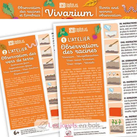 Vivarium Observation racines et vers de terre RC-011038 Radis et Capucine 2