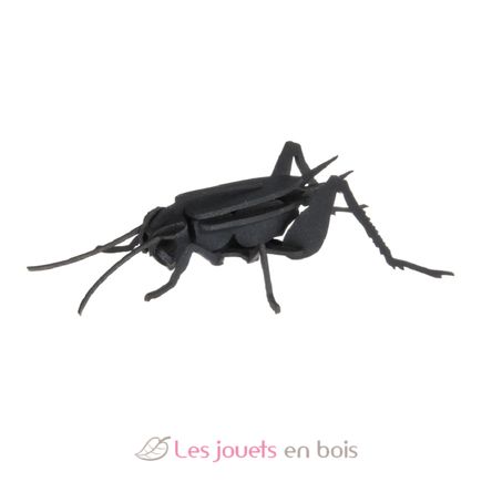Maquette 3D en papier Cricket FRI-11603 Fridolin 4