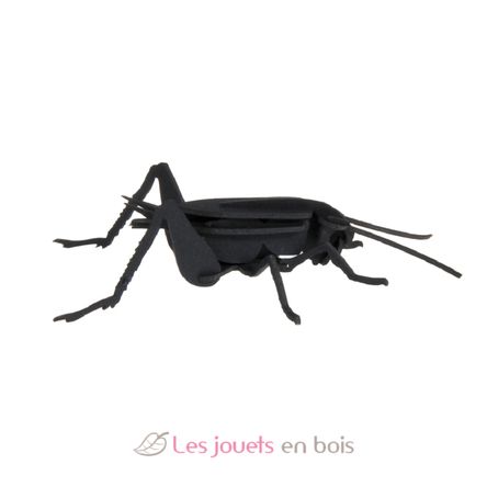 Maquette 3D en papier Cricket FRI-11603 Fridolin 3