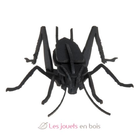 Maquette 3D en papier Cricket FRI-11603 Fridolin 2
