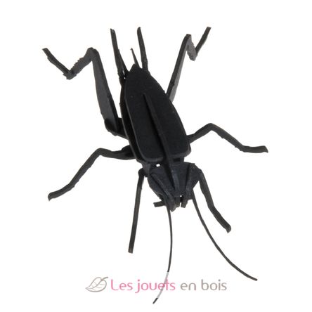 Maquette 3D en papier Cricket FRI-11603 Fridolin 1