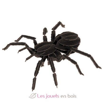 Maquette 3D en papier Tarentule FRI-11605 Fridolin 3