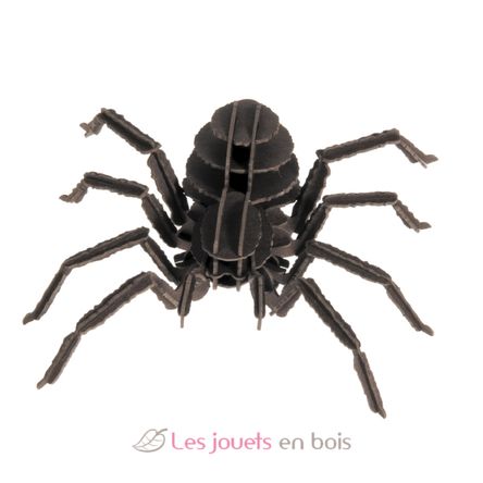 Maquette 3D en papier Tarentule FRI-11605 Fridolin 2
