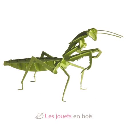 Maquette 3D en papier Mante religieuse FRI-11624 Fridolin 1
