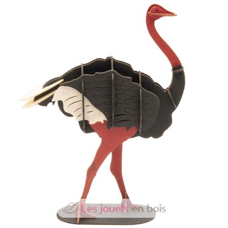 Maquette 3D en papier Autruche FRI-11680 Fridolin 1