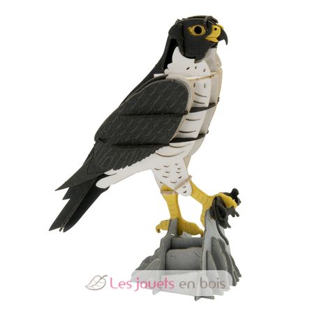 Maquette 3D en papier faucon FRI-11766 Fridolin 2