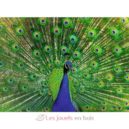 Puzzle Paon 500 pièces RAV12001332 Ravensburger 2