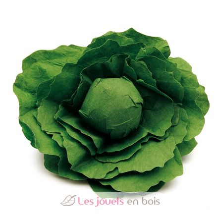 Laitue verte ER12280 Erzi 1