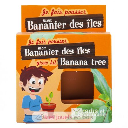 Je fais pousser mon Bananier RC-014265 Radis et Capucine 3