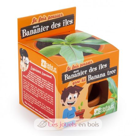 Je fais pousser mon Bananier RC-014265 Radis et Capucine 4