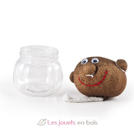 Mr GREEN - Tête à pousser RC-015417 Radis et Capucine 4