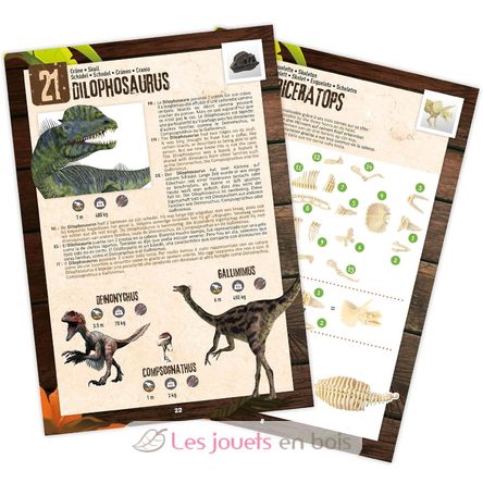 Calendrier de l'avent Dino surprise BUK2135 Buki France 4