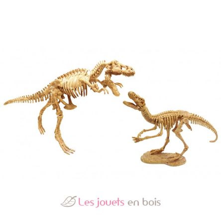Dino Dig T-Rex et Raptor BUK2139 Buki France 3